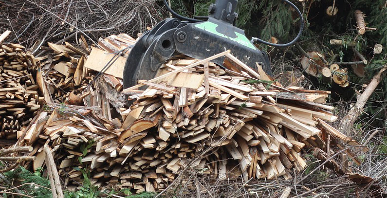 Serbia invites consultants for a project to promote the use of biomass