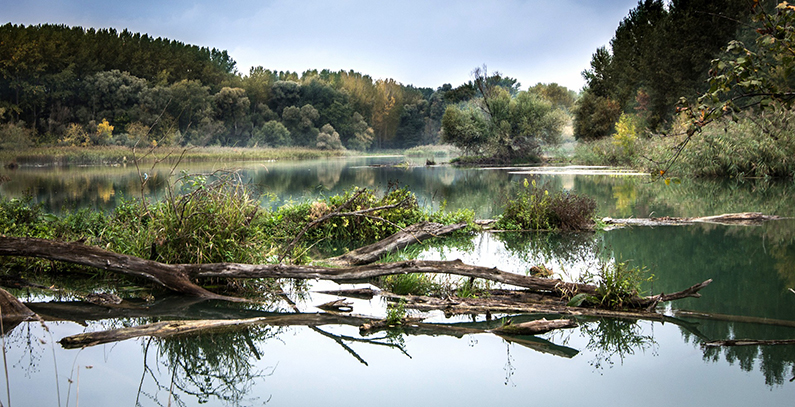 Construction of first wastewater treatment facility in Belgrade underway