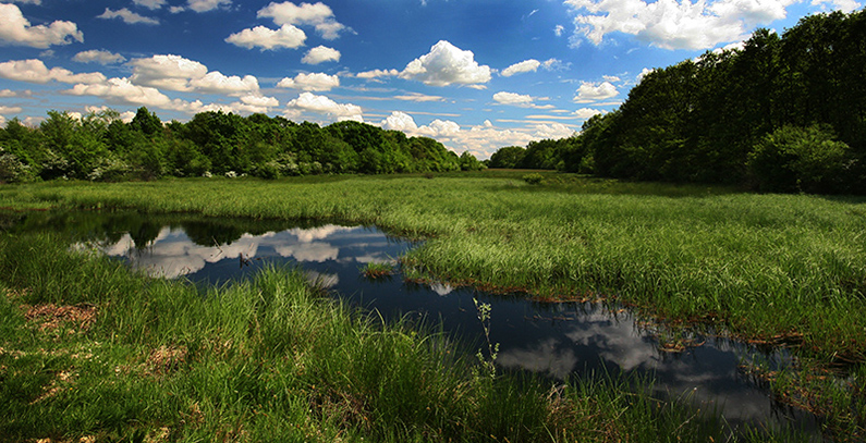 Wetlands in northern Serbia on UNESCO’s biosphere reserves list