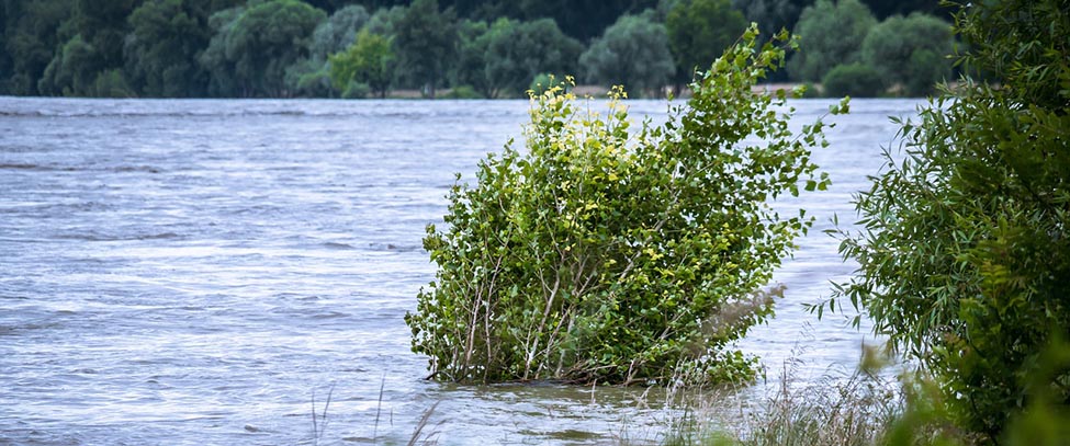 Bosnia and Herzegovina submits its third national report on climate change