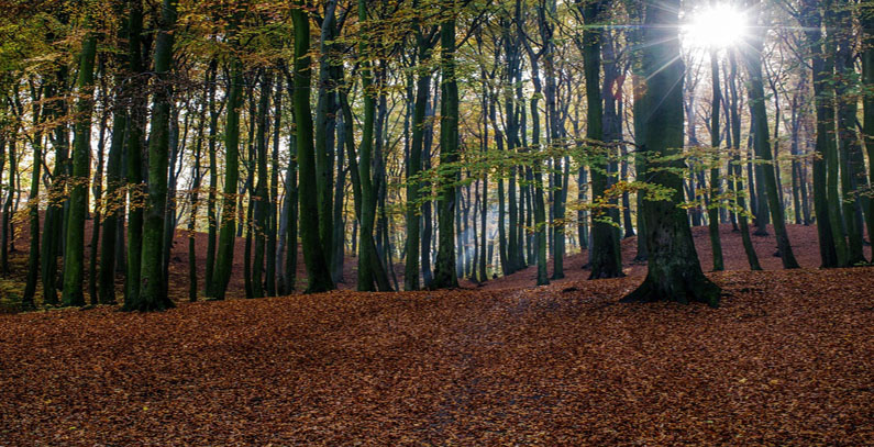 Croatian ministry approves grants for four environmental projects