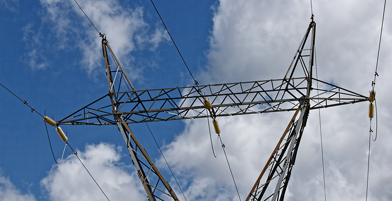 New panel to look into grid, operators’ investments