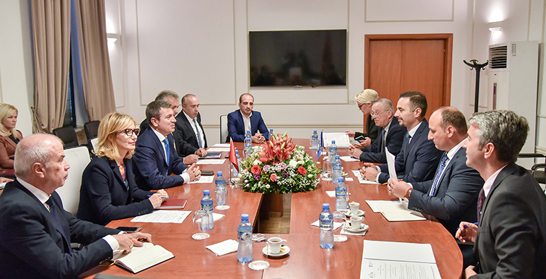 Kosovo* and Albania agree to intensify work on establishing common electricity market