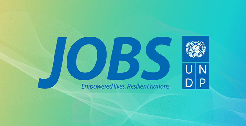 UNDP is looking for Negotiating Chapter 27 consultant in Podgorica
