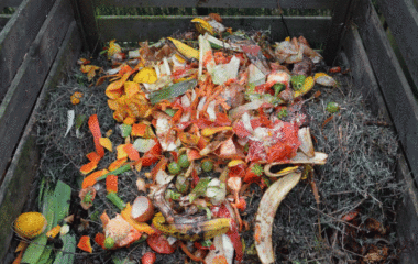 City of Zagreb published tender for composting facility for biodegradable waste