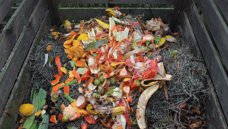 pictures of biodegradable waste