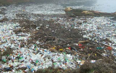 EC adopts Europe-wide strategy to fight plastic pollution