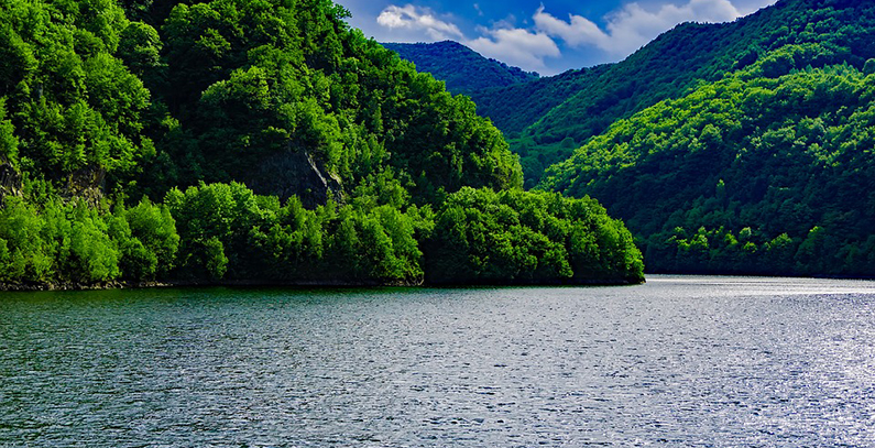 Hidroelectrica launches tender for retrofitting of HPP Vidraru