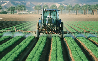 Call for applications: renewables included in IPARD II in Turkey