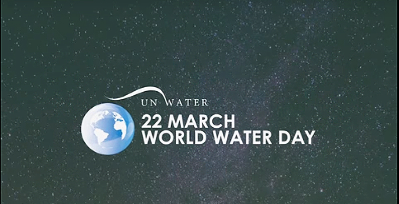 World Water Day – The answer is in nature