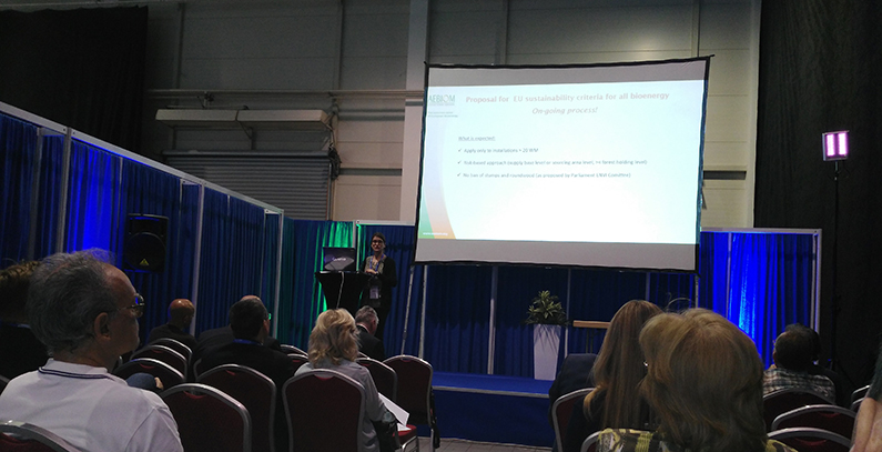RENEXPO: Biomass is important but neglected potential in Serbia