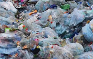 Serbia officially prohibits the use of plastic bags