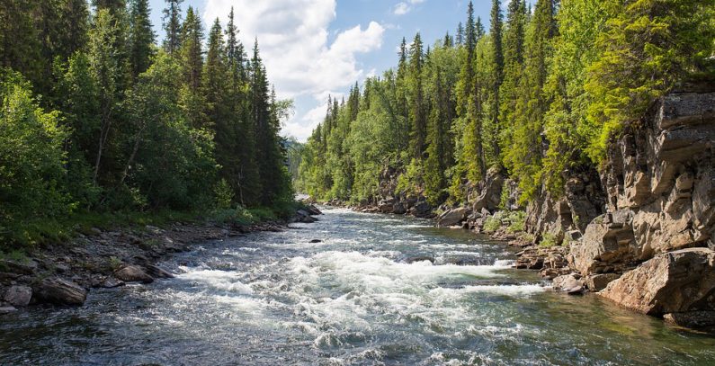 Bids sought for three small hydropower plants