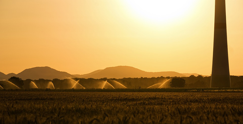 Vojvodina seeks to incentivize solar energy use in agriculture
