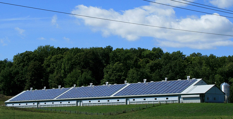 Vojvodina seeks to incentivize solar energy use in agriculture