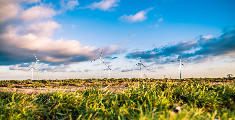 Balkan Green Foundation looking to recruit Program Manager for Program Philanthropy for Green Ideas
