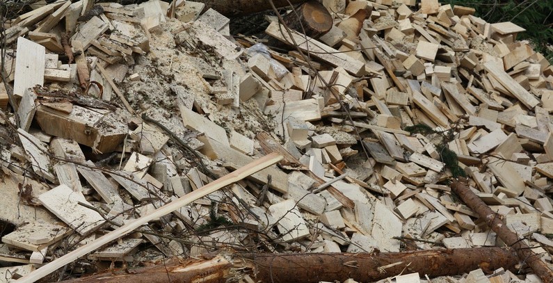 Deals signed to build two more biomass-fueled CHP plants in Croatia