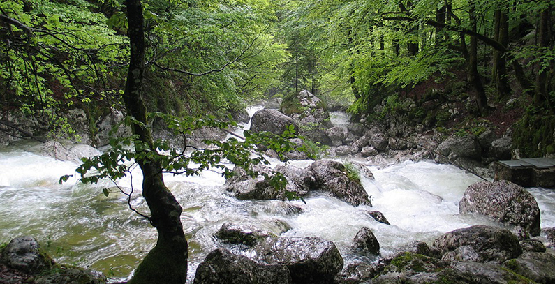 Slovenia pays EUR 69.4 million in renewable energy, CHP subsidies in H1