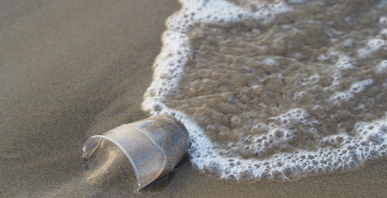Biomyc develops biodegradable packaging solution to substitute polystyrene, protect oceans from pollution