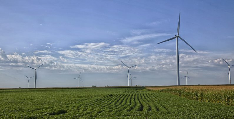 Belgium’s Elicio brings 42 MW Alibunar wind farm on stream
