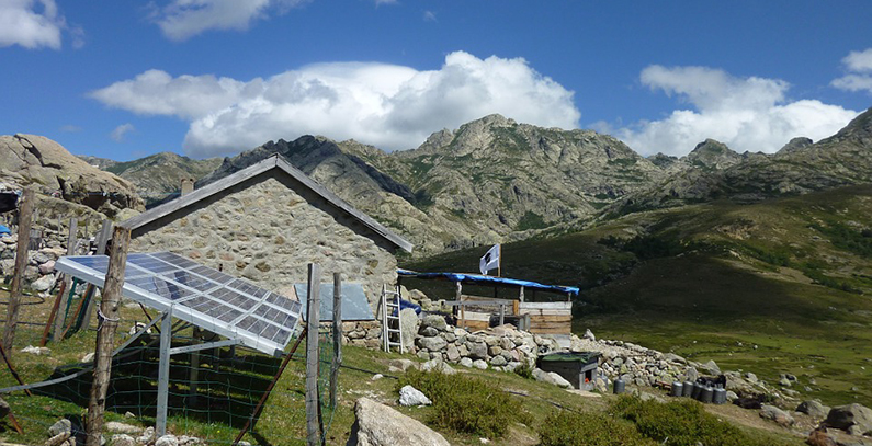 PVP4Grid presents study on prosumer concepts in EU, online tool for assessing PV projects to be created