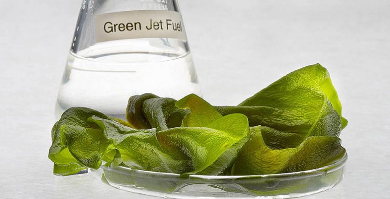 European Commission unveils action plan to develop sustainable and circular bioeconomy