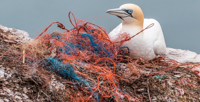 European Parliament Votes To Ban Single-use Plastics From 2021