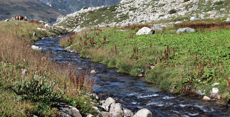 Residents vow to keep battling small hydropower plant Meteh