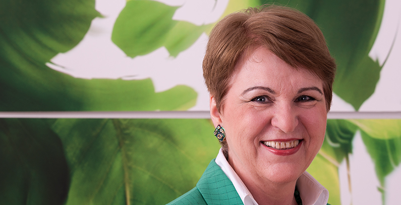 Governments should establish nation-wide energy efficiency programmes