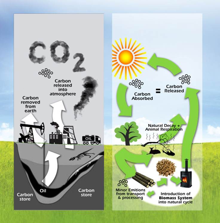 Use of biomass toward low-carbon industry – challenges and prospects