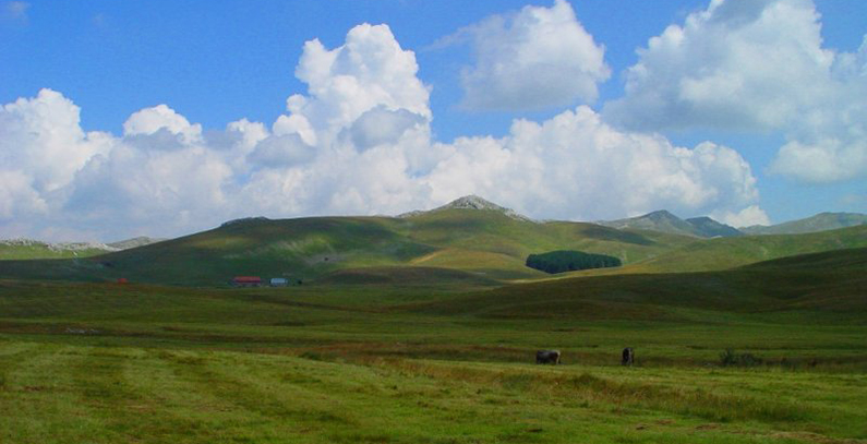 Tendering launched for concession to build 49.5 MW Grebak wind farm