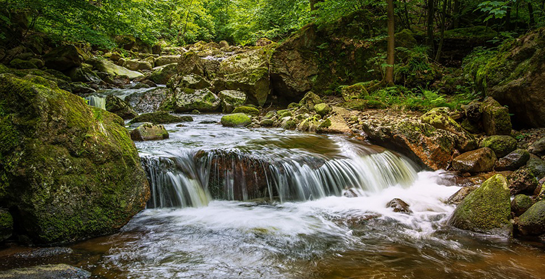 Water is and should remain a public good – citizens’ initiatives