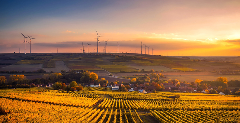 Enlight Renewable Energy’s Kovačica wind farm starts trial production