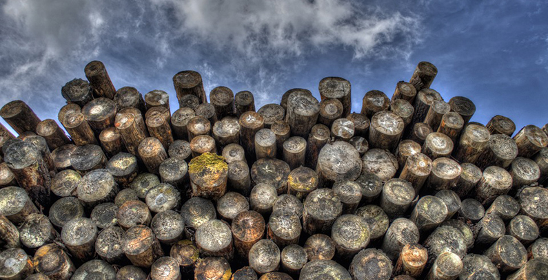 Fines for sale of low-quality solid fuels for households come into effect