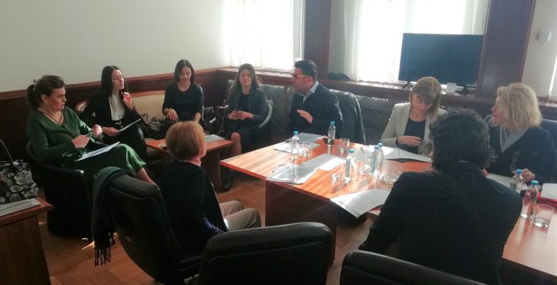 MPs of North Macedonia discussing tasks and challenges under chapters 15 and 27 of EU law