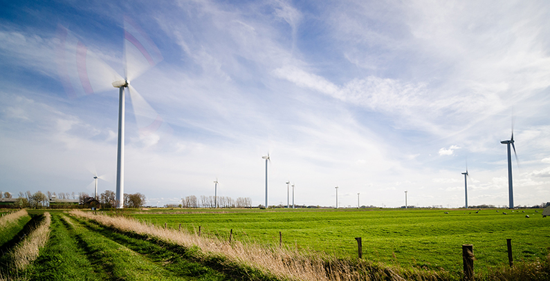 Ministry drafts decree to reduce renewables incentive fee paid by companies