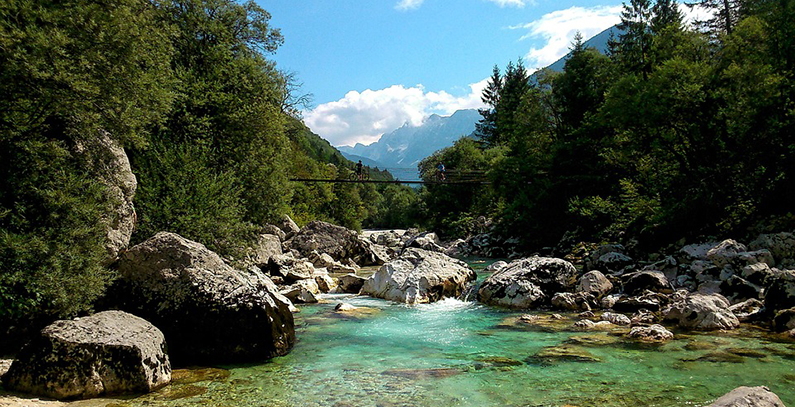 Slovenia pays EUR 135 million in renewable energy, CHP subsidies in 2018