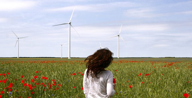Čibuk 1, Serbia’s largest wind farm, fully constructed