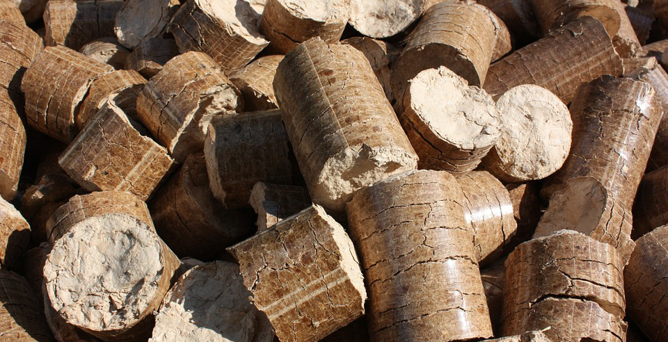 Eco Fund expands biomass heating grants program to entire Slovenia, cuts EV subsidies