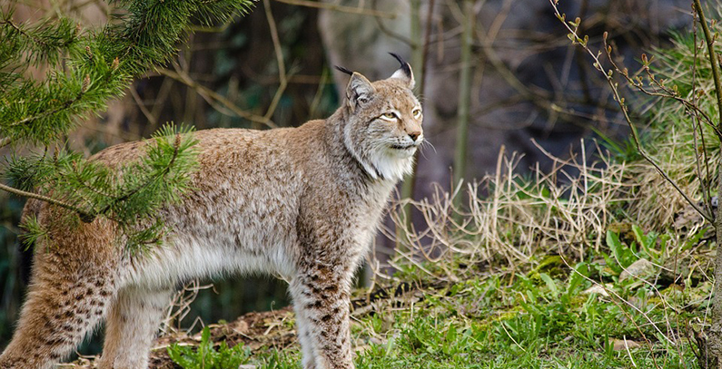 International Day for Biological Diversity: Our Biodiversity, Our Food, Our Health
