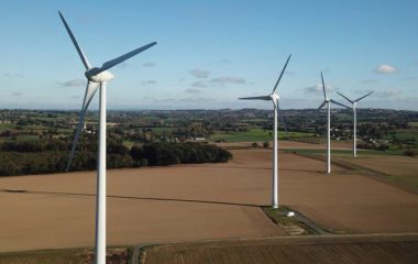 Birds, bats and wind power: understanding risks