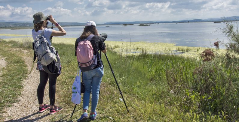birdwatching Ulcinj Salina