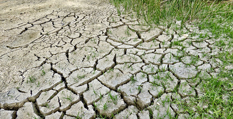 Call issued for climate change projects to be funded by Green Climate Fund