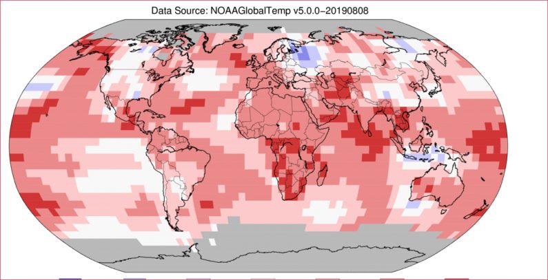 July 2019 was hottest month on record for the planet