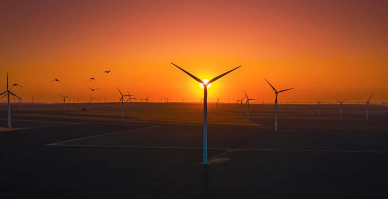 Hidroelectrica files non-binding letter of intent to buy CEZ assets in Romania
