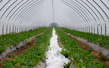 climate leasing EBRD GCF GEFF