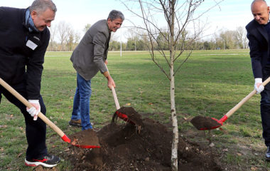 challenge treeforbg Radojičić mayor