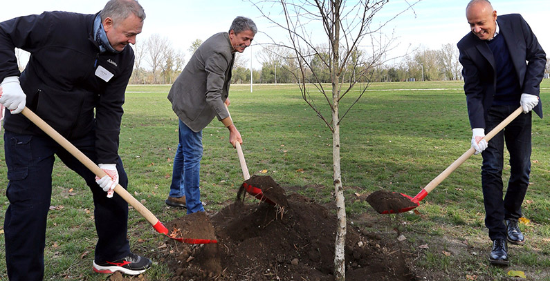 challenge treeforbg Radojičić mayor
