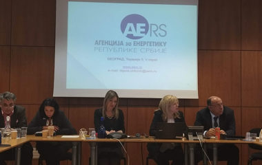 ldk-aers-italy-visit