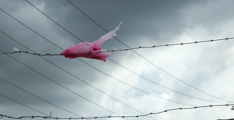 Plastic bags must be regulated by comprehensive law